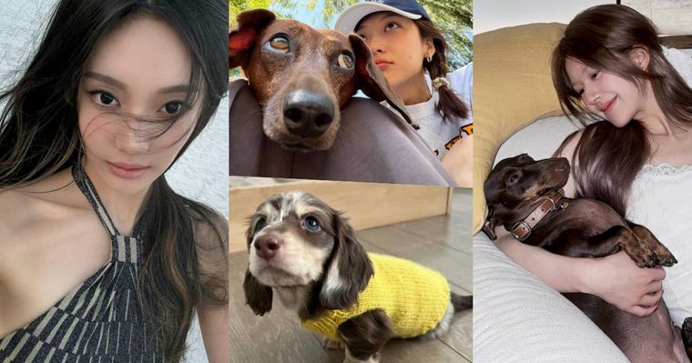 孫千撞臉愛犬、趙露思把毛孩變品牌主角！aespa寧寧也被小短腿收服，臘腸狗照顧6個重點一次看！