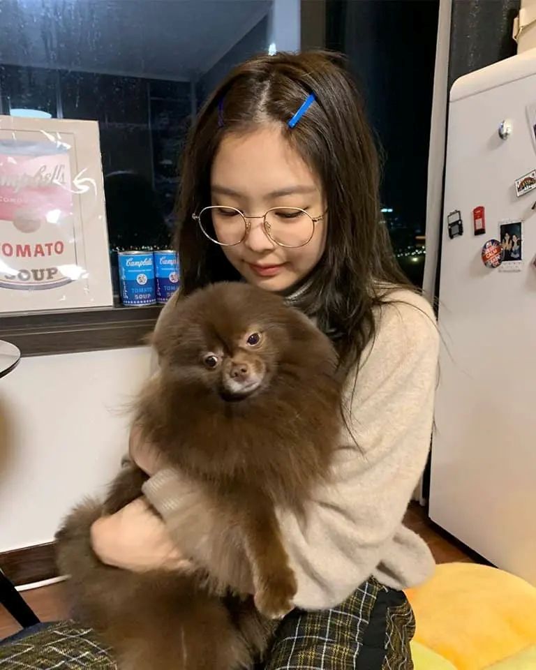 韓網熱議和寵物長得像的KPOP偶像！太妍&Zero根本神同步，Giselle愛犬畫報氣場強，乾鎬撞臉Cookie！-8