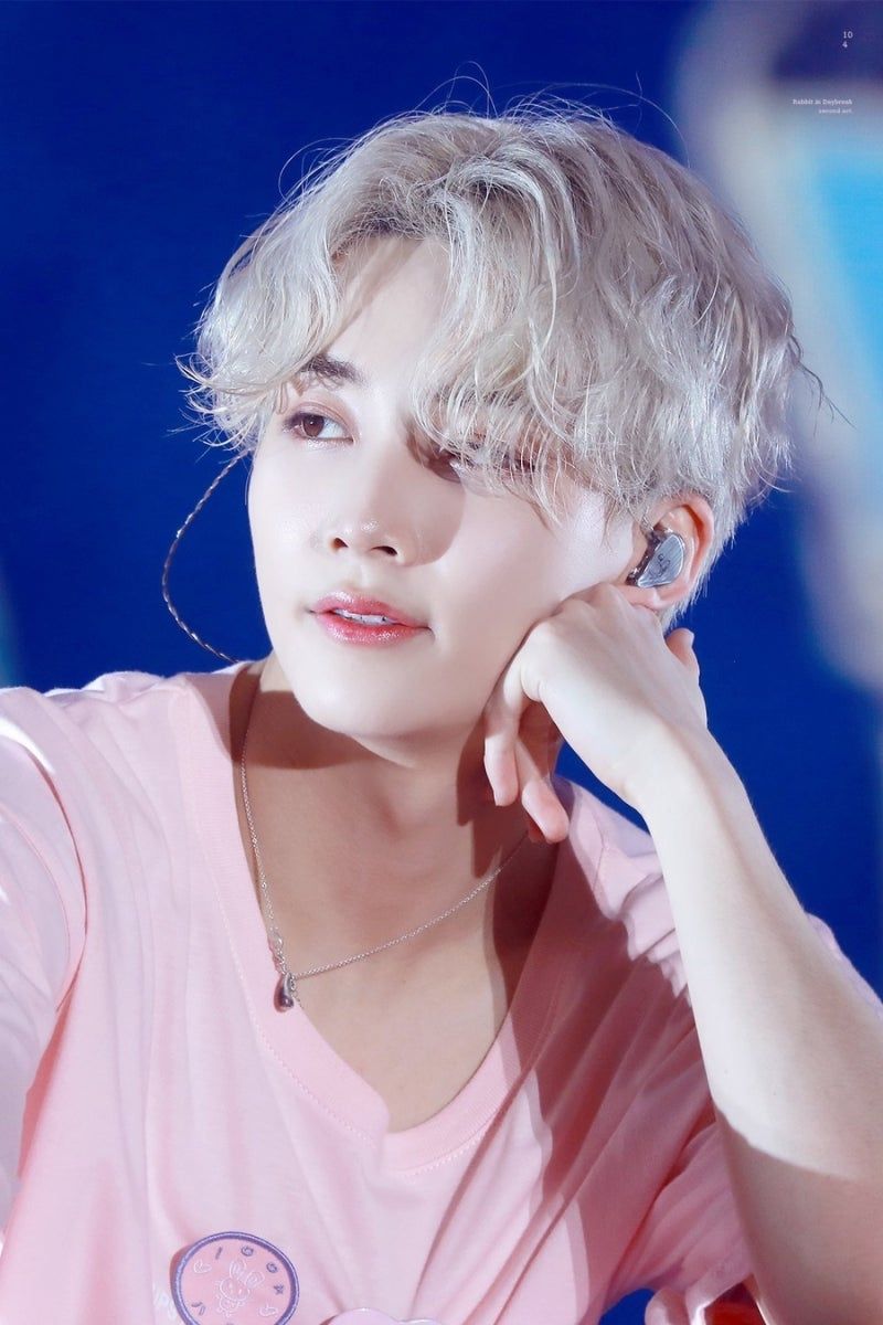 韓網票選「精靈系」KPOP男偶像TOP6！淨漢、杋圭仙氣爆棚，Felix「精靈王子」帥到不真實！-4