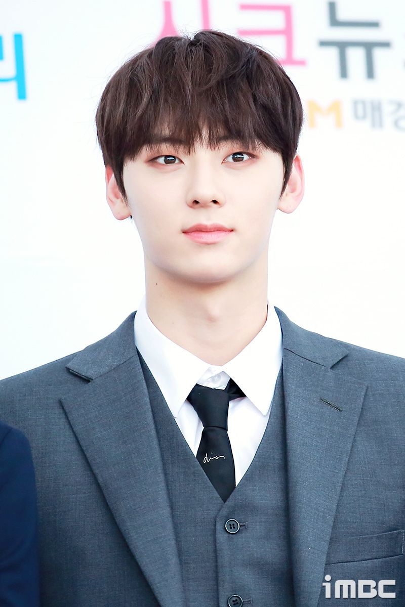 韓網公認7位「單眼皮男神」KPOP偶像！Hoshi倉鼠魅力席捲全球，V、Jin眼神超會放電-13