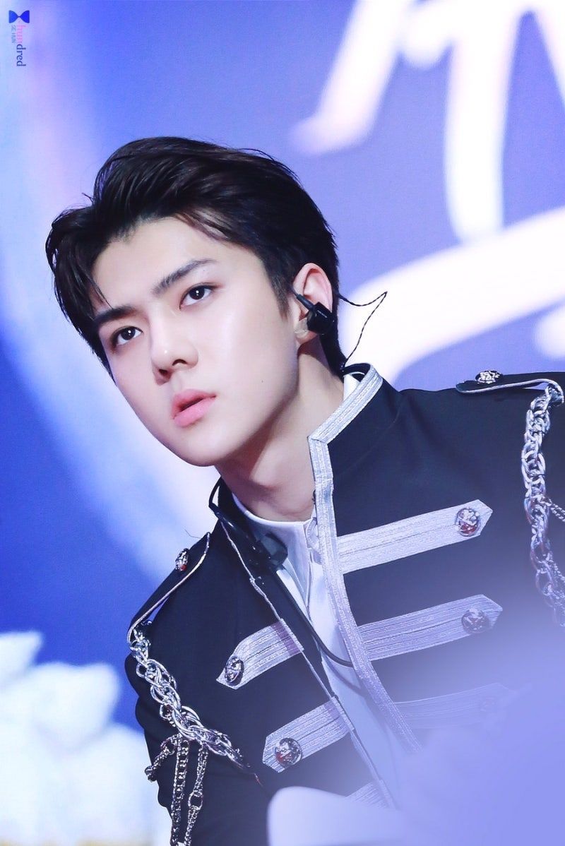 韓網票選7位最適合「非人類」概念的KPOP男偶像！Felix根本是精靈本體，成訓、鉉辰太像吸血鬼！-5