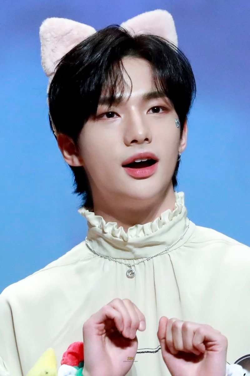 網熱議6位擁有「特殊動物相」韓國偶像！鉉辰、申惟撞臉雪貂超萌，玧我「豹相」氣場全開！-3