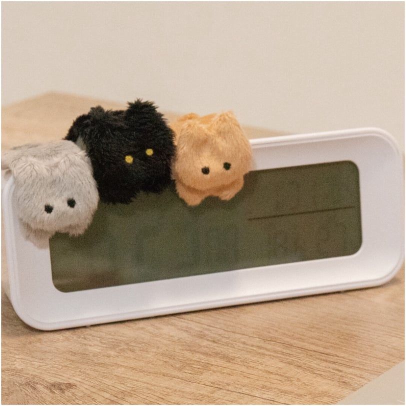 日妞超風靡的「貓咪OK繃」台灣也買得到了！柔軟絨毛+軟萌小臉貼上傷口直接好一半？-5