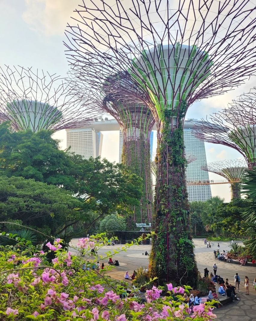 新加坡自由行D3-濱海灣金沙花園走馬看花｜ POPO筆記