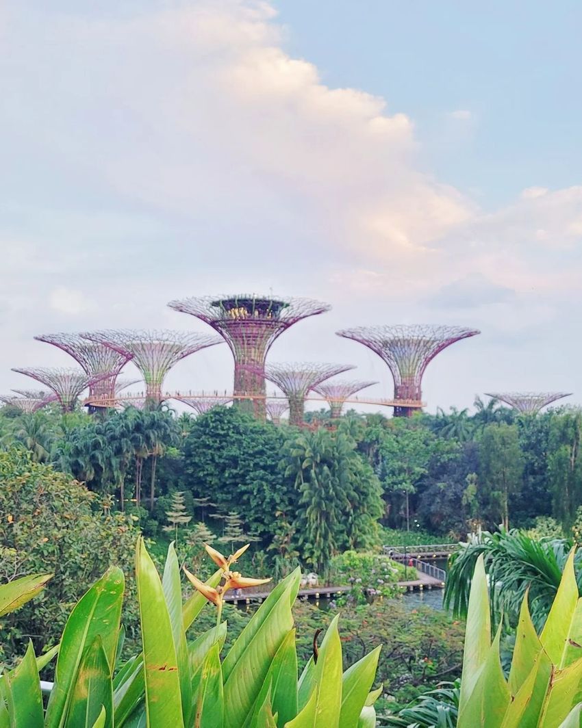 新加坡自由行D3-濱海灣金沙花園走馬看花｜ POPO筆記