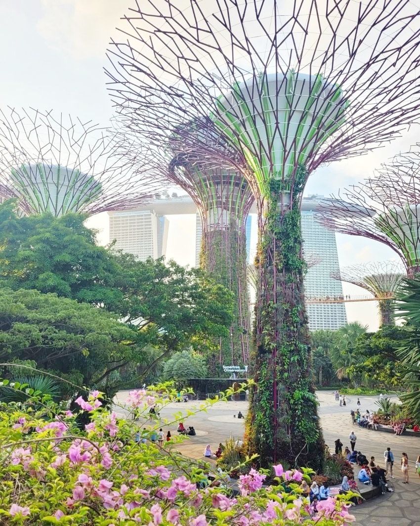 不是只有魚尾獅！2025新加坡旅遊景點推薦：全球最美機場室內瀑布必打卡、小印度區隨便拍都超好看！-11