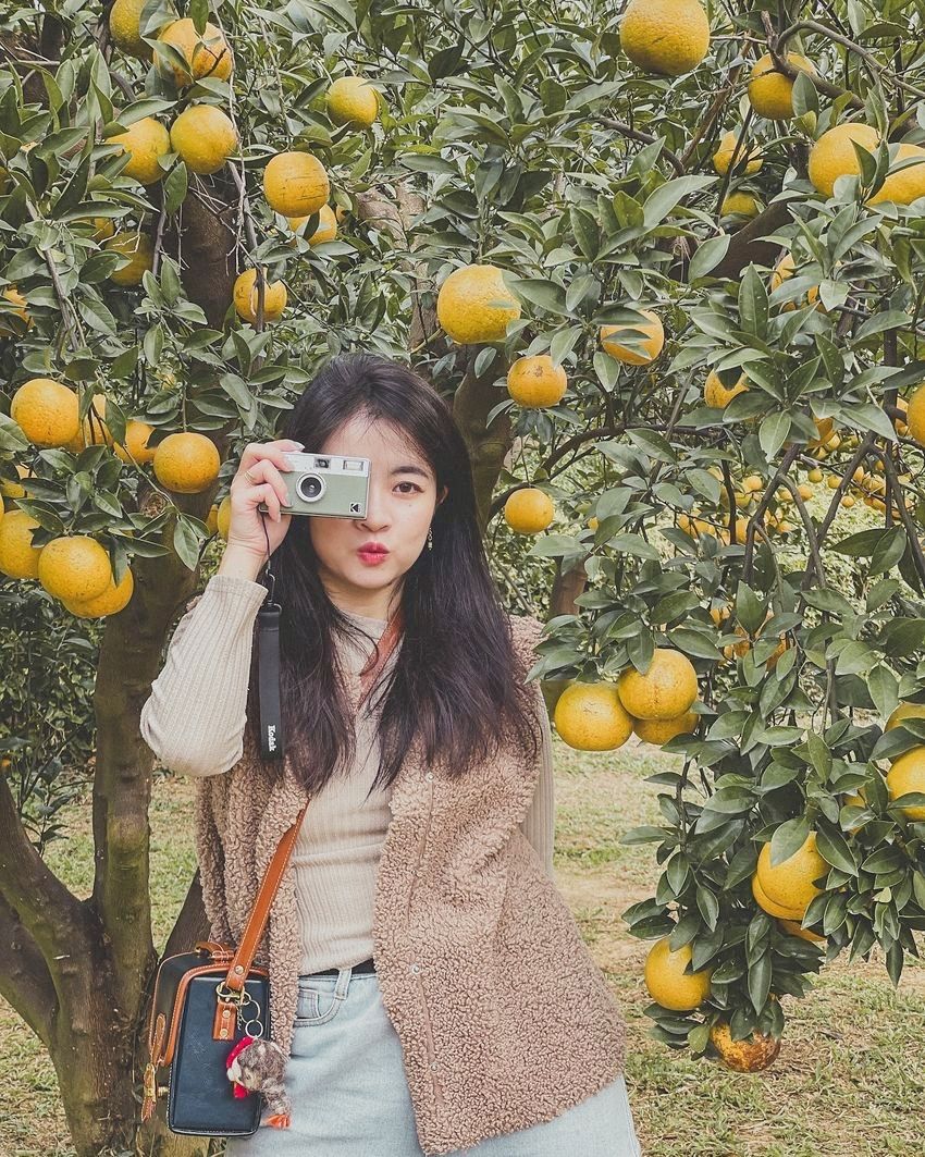 2026中南部走春景點推薦！苗栗橙香森林橘子園美翻、高雄最新動物園區可以跟樹懶近距離接觸！-3