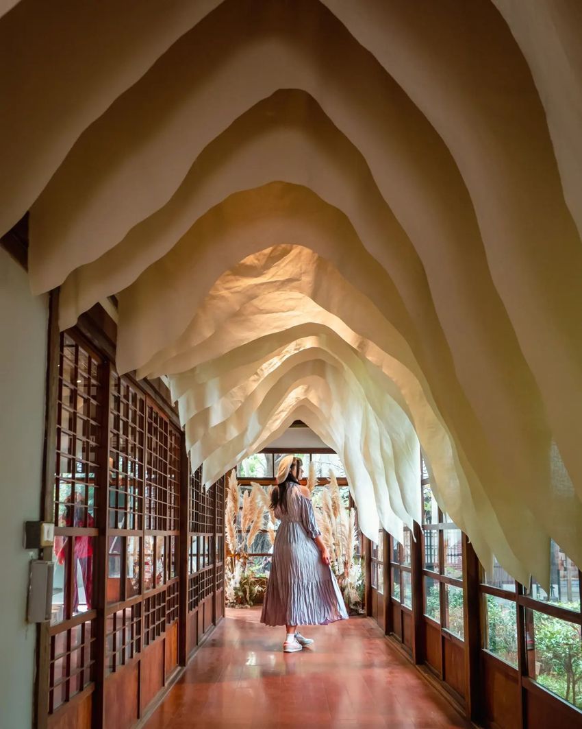 2026中南部走春景點推薦！苗栗橙香森林橘子園美翻、高雄最新動物園區可以跟樹懶近距離接觸！-7