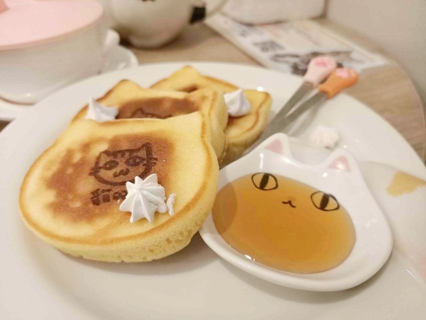 2025雙北4間貓咪咖啡廳推薦！呆萌賓士貓店長讓你擼到爆、還有Q翻「貓貓造型甜點」要吃！-22