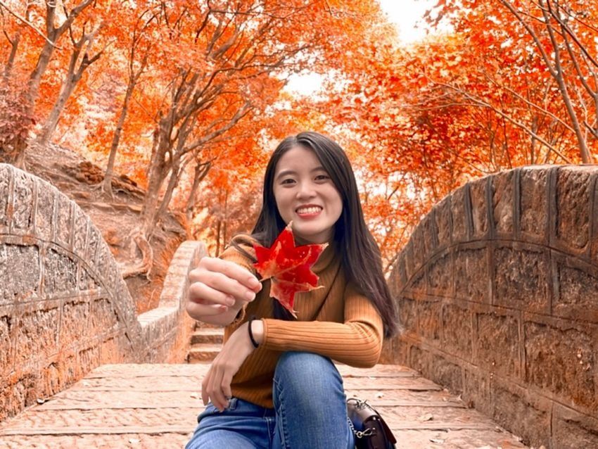 2025全台賞楓景點推薦！阿里山小笠原觀景台一片楓紅超夢幻、「這裡」除了楓葉還有落羽松拍起來美炸！-2