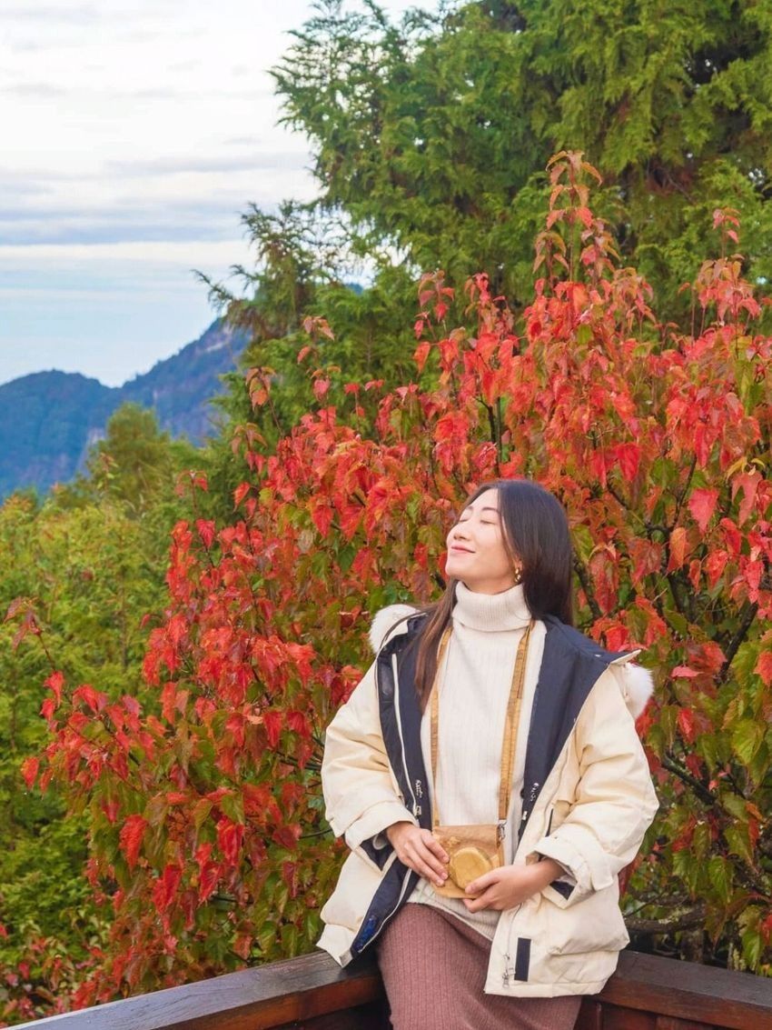 2025全台賞楓景點推薦！阿里山小笠原觀景台一片楓紅超夢幻、「這裡」除了楓葉還有落羽松拍起來美炸！-15