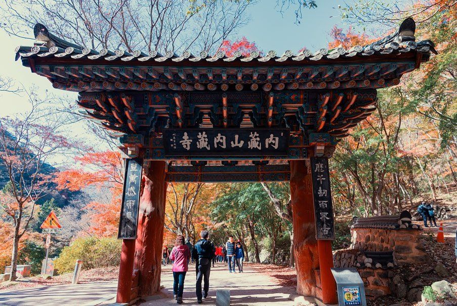 2025韓國賞楓6大景點推薦！慶州佛國寺楓紅景色美爆、「這裡」除了楓葉還有金黃落羽松太好拍！-11