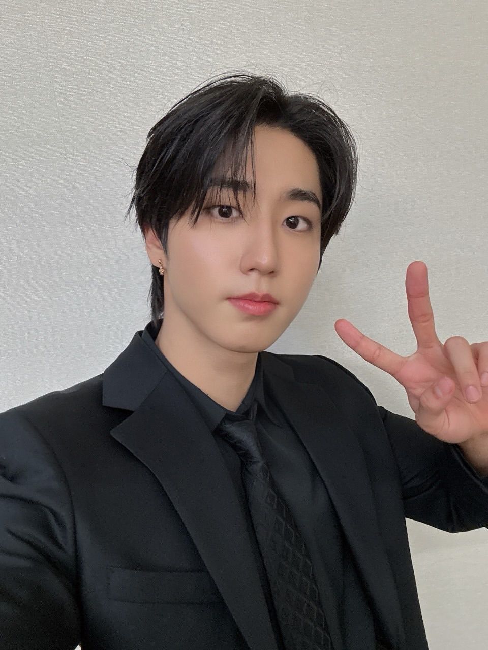 2026必聽10首愛豆獻唱OST！SKZ HAN《柔美的細胞小將3》唱出粉紅泡泡，SVT DINO也為《給你夢想》獻聲！-7